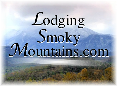 LodgingSmokyMtn's profile picture. Your source for Lodging in the Great Smoky Mountain area including Gatlinburg, Pigeon Forge, Sevierville, Kodak, Dandridge, Cosby, and Townsend.