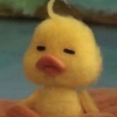 suzysuz22's profile picture. 구독계