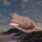 bok1120's profile image