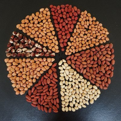 Official Tweets for the National Groundnut Improvement Project, Uganda