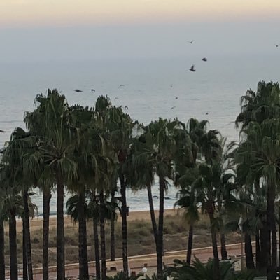 kgdrah's profile picture. Salowe Vision