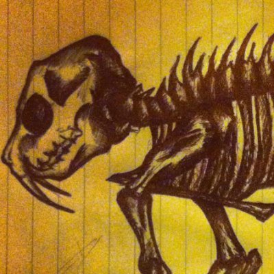 illbones_'s profile picture. #blank