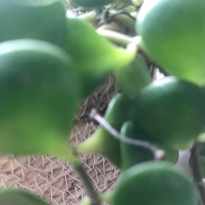 Moukyamouk1's profile picture. 