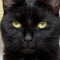 No Malone Zone (@nomalonezone) 's Twitter Profile Photo No Malone Zone (@nomalonezone) 's Twitter Profile Photo