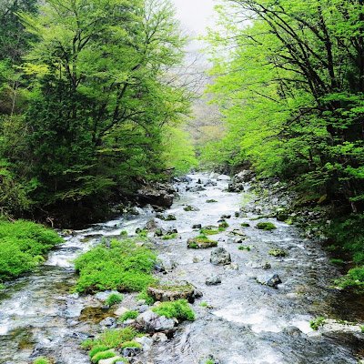 4HoNCjeMK2qksUR's profile picture. 