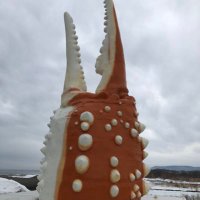まんまる (@owcntrakwz2ko2y) 's Twitter Profile
