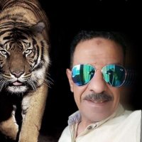 فتحي الذيدي الذيدي (@x9mcfb2n1akjd4e) Twitter profile photo