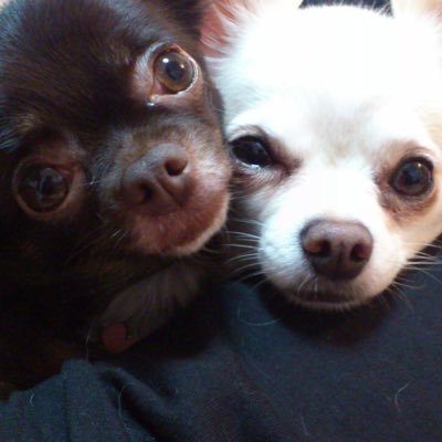 hellotominori's profile picture. 登録したまま放置してましたが、多くの方の意見が聞ける場として利用させていただいています。