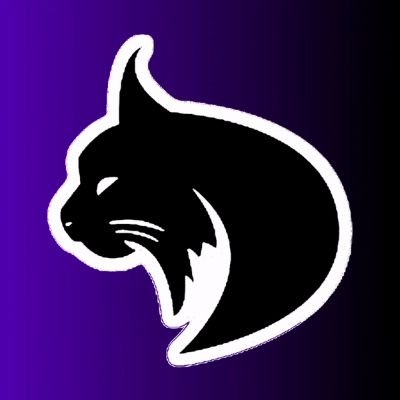 Lynx Esports | EST. 2020 JAN 3 | 150+ Members | Sponsored by Rockstar | Wonderful Players | Daily Giveaways | Weekly Tournaments | Monthly Events!