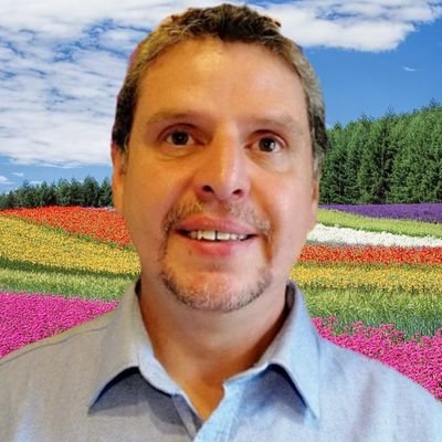 PaulitschM's profile picture. Mit NFT einfach Geld verdienen 🐈