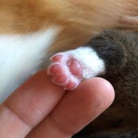 Caleb (@warmsoftlips) 's Twitter Profile Photo