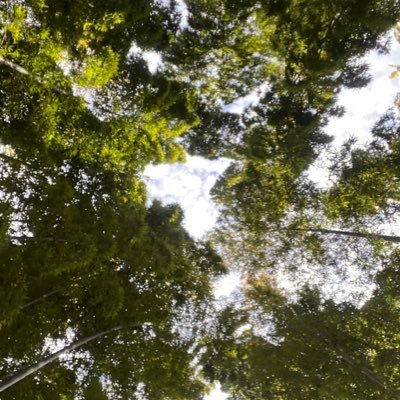 fHsYMtl9qeZ4tew's profile picture. さなえ
