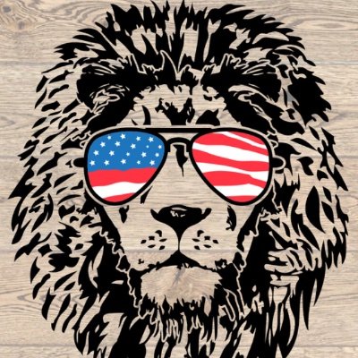 Father of 2, Patriot 🇺🇸, Conservative, Smartass, Always Wanting The Lion's Share!   Give me a follow and I will follow you back!