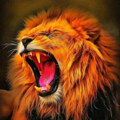 koudjadany's profile picture. #TeamCameroon 🇨🇲🇨🇲🇨🇲