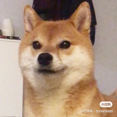 油炸小排骨3さんのプロフィール画像