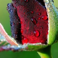 WANI IMTIYAZ (@waniimt40328246) 's Twitter Profile