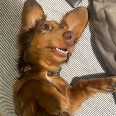 ferrer_jake's profile picture. 