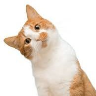 blablara222's profile picture. 