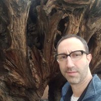 Jewish Lumber King 🌳(@EzraDrissman) 's Twitter Profile Photo
