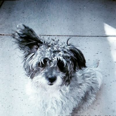 bc2you's profile picture. Have lived from Alaska to Florida with a couple whistle stops in between. Am a retired nurse ready for another road trip, cruise, jet setter, or train ride.