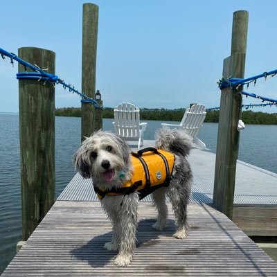 Your pets favorite recruiter. Connecting expert Product, Mobile & Engineering talent for @Chewy (he/him/his) 🏴➡️🗽➡️🏝
