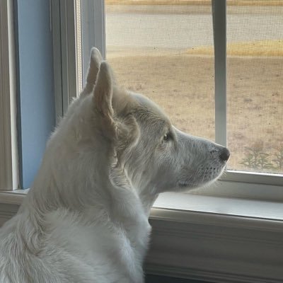 razorback_mikep's profile picture. Hog fan, photography, kind of a nice guy, Razorbacks!! 🐗 🐗 🐗