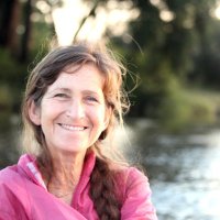 Argye Hillis (@argyeh) 's Twitter Profile