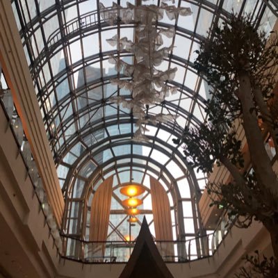 razanmts's profile picture. 