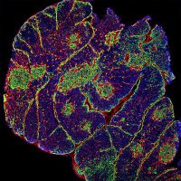 Magali IRLA Lab (@irlalab) 's Twitter Profile Photo Magali IRLA Lab (@irlalab) 's Twitter Profile Photo
