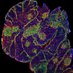 Magali IRLA Lab (@irlalab) Twitter profile photo Magali IRLA Lab (@irlalab) Twitter profile photo