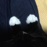 cat_pad1997's profile picture. フリーランスのグラフィックデザイナー。 雑誌のエディトリアルデザインをしています。 お仕事の依頼はDMでお願いいたします。 仕事場に7匹の猫がいます。 2022年4月までは「現代農業」と「季刊地域」というエコロジカルな雑誌のお仕事していました。 現在は某大手百貨店のファッションカタログ作ってます。