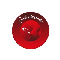 Gizli Ötesinde (@gizli_otesinde) 's Twitter Profile