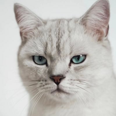 rinaaaks1015's profile picture. 98年