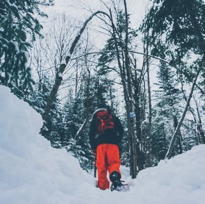 Birth certificate slave stuck in a legalese system, nature lover, mtb trail builder and uncertified clown. On a journey to self growth & good health.
