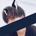 うー@凍結 (@uuuu_restart) Twitter profile photo うー@凍結 (@uuuu_restart) Twitter profile photo