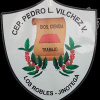 Centro Escolar Pedro Lisimaco Vilchez(@CentroVilchez) 's Twitter Profile Photo