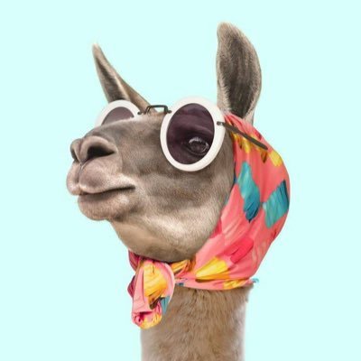 turtletree0's profile picture. 