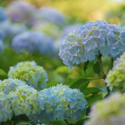 Litterula15's profile picture. IntroWERT mit Vorliebe für Mittelgebirge und diverses Grünzeug. Beschäftigt sich aus Gründen gerade viel mit dem Thema "Heizung". Ökologisch-pragmatisch.