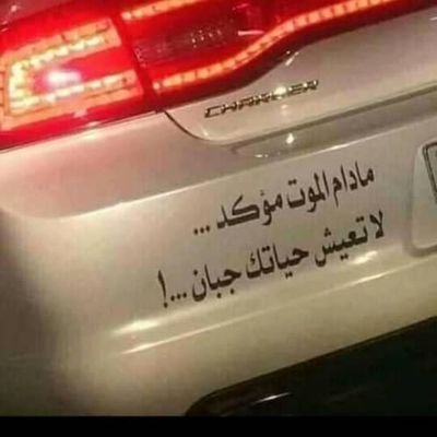 ﻻ تتحدثوا عن سعادتكم🤍 ب صوت مرتفع
ف نوم الحاسدين خفيف جدا🐸🐸