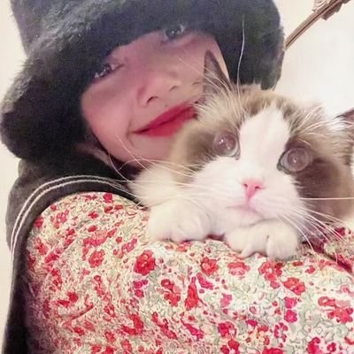 sglalalisa's profile picture. backup, vote acc, rq etc