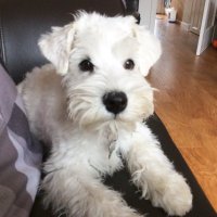 Mary Samson Pro Choice Woke working for Women (@marysam04869049) 's Twitter Profile