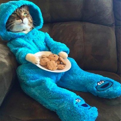 Target_is_NoBug's profile picture. 