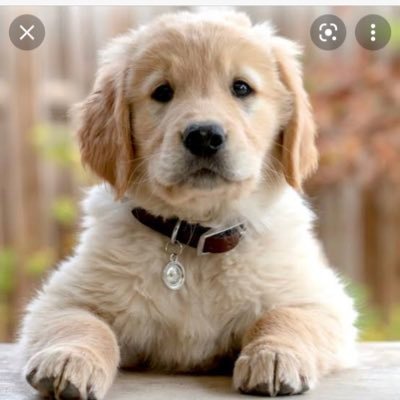 curiousbeing13's profile picture. builder in saas, tries to see things the way they are, inquisitive about unknowns.