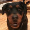 Amanda Sasso - @avsasso - Twitter