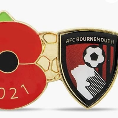 lover of afcb, footy, F1,an army veteran who is a patriotic Passionate Englishman with his own views.