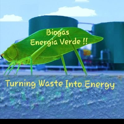 HydroBiomethane's profile picture. Renewable Energy Researcher, Hydrogen and BiogasTechnology.