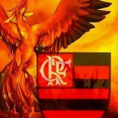 Eu sou baiana moro Aparecida de Goiânia
25anos
Solteira
Signo:capricórnio
@Flamengo