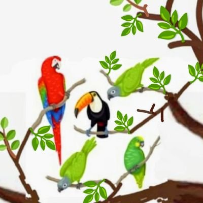 relaxtalkchat's profile picture. Enjoy the beauty of nature and record it with my phone. 
Start recording from July 25, 2021