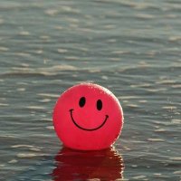 Chevalier (@chaevalier) 's Twitter Profile