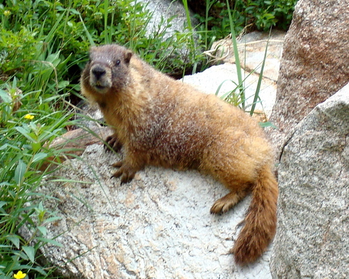 yelkcubj's profile picture. 